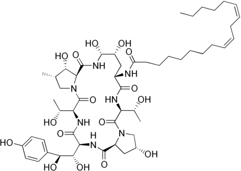 Chemical structure of Echinocandin B