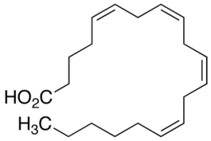 Chemical structure of Arachidonic Acid