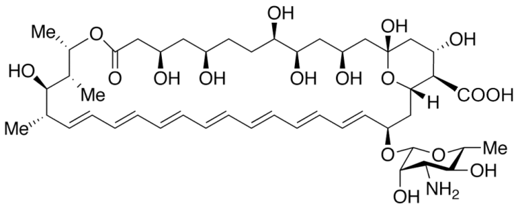 Chemical structure of Amphotericin B