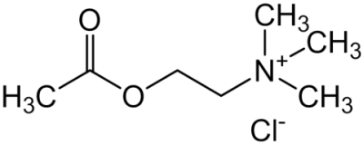 Chemical structure of Acetylcholine Chloride