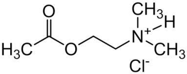 Chemical structure of 2-(Acetyloxy)-N,N-dimethylethanaminium Chloride