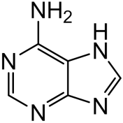 Chemical structure of Adenine