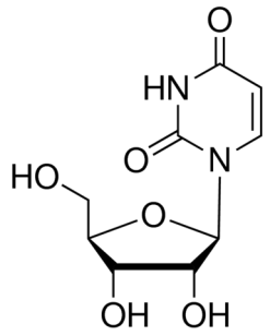 Chemical structure of Uridine