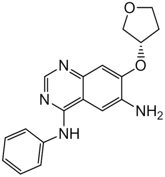 Chemical structure of (S)-N4-phenyl-7-((tetrahydrofuran-3-yl)oxy)quinazoline-4,6-diamine