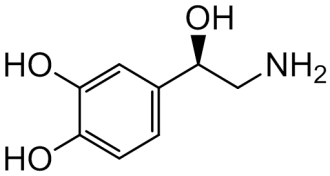Chemical structure of Noradrenaline