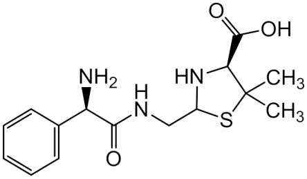 Chemical structure of Penilloic Acids of Ampicillin
