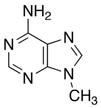 Chemical structure of 6-Amino-9-methylpurine (9-Methyl Adenine)